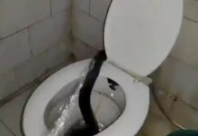 രാജസ്ഥാനില് ഡോക്ടര്മാര്ക്കുള്ള പിജി ഹോസ്റ്റലില് മൂര്ഖൻ പാമ്ബ്; ഞെട്ടിക്കുന്ന ദൃശ്യങ്ങള് പുറത്ത്: വീഡിയോ