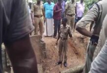 നെയ്യാറ്റിൻകരയിൽ തെങ്ങ് മറിഞ്ഞ് അപകടം; തൊഴിലുറപ്പ് ജീവനക്കാരായ രണ്ട് സ്ത്രീകൾക്ക് ദാരുണാന്ത്യം: വിശദാംശങ്ങൾ വായിക്കാം