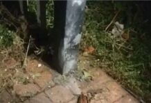 സിപിഎം ശക്തി കേന്ദ്രത്തിൽ ബിജെപി ഓഫീസ്; കെട്ടിടം വിട്ടു നൽകിയ ഉടമയുടെ വീടിന് നേരെ ബോംബേറ്: വിശദാംശങ്ങൾ വായിക്കാം