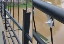 പാലക്കാട് ഉദ്ഘാടനത്തിന് പിന്നാലെ അഞ്ചു കോടി ചെലവഴിച്ച നിർമ്മിച്ച തൂക്കുപാലത്തിന്റെ കൈവരികൾ തകർന്നു; സംഭവം ഇടത് എംഎൽഎ കെ ഡി പ്രസന്നന്റെ മണ്ഡലത്തിൽ: വിശദാംശങ്ങൾ വായിക്കാം