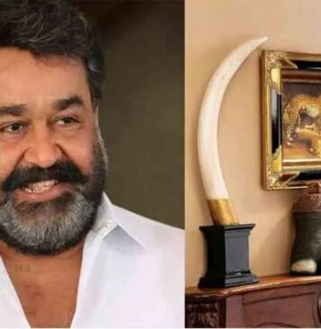 വനംവകുപ്പിന് തലവേദനയായി മോഹൻലാല് കേസ്: ഹൈക്കോടതി വിധിക്ക് പിന്നാലെ നടനെതിരെ പുതിയ കേസിന് സാധ്യത: വിശദാംശങ്ങൾ വായിക്കാം