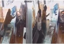 ജ്വല്ലറിയിൽ കയറി ജീവനക്കാരുടെ മുഖത്ത് മുളകുപൊടി എറിഞ്ഞ് മോഷണം നടത്താൻ യുവതിയുടെ ശ്രമം; പിന്നീട് സംഭവിച്ചത് നിങ്ങളെ അത്ഭുതപ്പെടുത്തും: വൈറൽ വീഡിയോ ദൃശ്യങ്ങൾ കാണാം