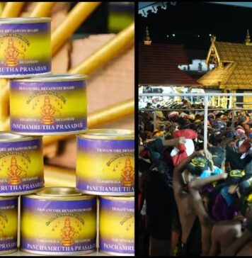 ശബരിമലയില് റെക്കോര്ഡ് വരുമാനം; 15 ദിവസം കൊണ്ട് ലഭിച്ചത് 92 കോടി: കണക്കുകൾ വായിക്കാം