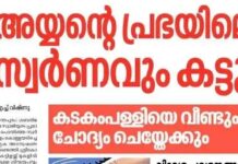 താഴികക്കുടങ്ങൾ ഇളക്കി; ചെറു വിഗ്രഹങ്ങൾ കടത്തി: ശബരിമല ശ്രീകോവിലിൽ നടന്നത് കൊടും കൊള്ള – വിശദാംശങ്ങൾ വായിക്കാം