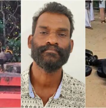 സര്പ്പക്കാവിലെ വിഗ്രഹങ്ങളും വിളക്കുകളും നശിപ്പിച്ച സംഭവത്തില് മതവികാരം വ്രണപ്പെടുത്തിയെന്ന കുറ്റം ചുമത്തി 49കാരനെ പൊലീസ് അറസ്റ്റ് ചെയ്തു ; വിശദാംശങ്ങൾ വായിക്കാം