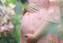 സമ്പന്ന സ്ത്രീകളെ ഗർഭിണി ആകാൻ സഹായിച്ചാൽ പ്രതിഫലം 10 ലക്ഷം; മോഹന വാഗ്ദാനത്തിൽ മയങ്ങി പണം നഷ്ടമായത് നിരവധി യുവാക്കൾക്ക്; സൈബർ തട്ടിപ്പ് സംഘം അറസ്റ്റിൽ