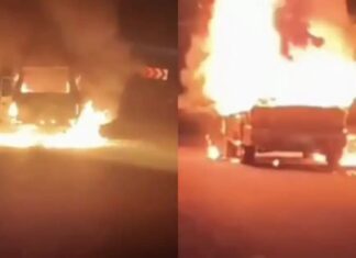 കല്ലമ്ബലത്ത് ദേശീയപാതയില് ഓടിക്കൊണ്ടിരുന്ന ക്വാളിസ് കാര്, ബോണറ്റില് നിന്ന് പുക, പിന്നാലെ തീപിടിച്ചു; യാത്രക്കാര് അത്ഭുതകരമായി രക്ഷപെട്ടു