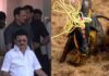 ജല്ലിക്കെട്ട് വിജയികൾക്ക് തൊഴിൽ അവസരം; മൃഗസംരക്ഷണ വകുപ്പിൽ ജോലി നൽകുമെന്ന് സ്റ്റാലിൻ ; വിശദാംശങ്ങൾ വായിക്കാം