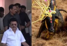 ജല്ലിക്കെട്ട് വിജയികൾക്ക് തൊഴിൽ അവസരം; മൃഗസംരക്ഷണ വകുപ്പിൽ ജോലി നൽകുമെന്ന് സ്റ്റാലിൻ ; വിശദാംശങ്ങൾ വായിക്കാം