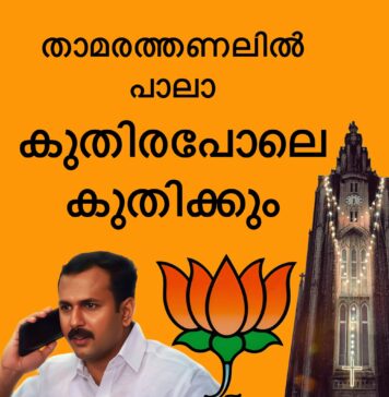 കുരിശുപള്ളിയുടെ പശ്ചാത്തലത്തിൽ താമര തണലിൽ പാലാ വളരുമെന്ന് മുദ്രാവാക്യം; “ഈരാറ്റുപേട്ടയുടെ സുൽത്താൻ” പേജ് പ്രചരിപ്പിക്കുന്നത് തീവ്ര വർഗീയത: തിരിച്ചടി ഭയന്ന് ഫാൻ പേജിനെ തള്ളിപ്പറഞ്ഞ് ഷോൺ ജോർജ്