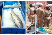 കണവയും, ഞണ്ടും, ചൂരയും, ആകോലിയും ഉൾപ്പെടെ വില്പ്പനയ്ക്കെത്തിച്ചതെല്ലാം പഴയ മത്സ്യം; വര്ക്കല പുന്നമൂട് മാര്ക്കറ്റില് നിന്നും ഇന്ന് പിടികൂടിയത് 400 കിലോപഴകിയ മത്സ്യം: വിശദാംശങ്ങൾ വായിക്കാം