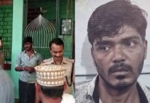 നേര്ച്ചപ്പെട്ടി പുലര്ച്ചെ കൊള്ളയടിച്ചു, പണം മുസല്ലയില് പൊതിഞ്ഞു കൊണ്ടുപോയി; ബാലുശ്ശേരി സ്വദേശി പിടിയില് ; വിശദാംശങ്ങൾ വായിക്കാം