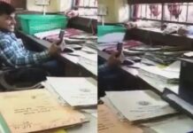 ഫയലുകള് മാറ്റിവെച്ച് ഫോണില് സൊറ പറച്ചില്; ക്യൂ നില്ക്കുന്ന ജനങ്ങളെ പരിഹസിച്ച് വീഡിയോ കോൾ: വിവാദ വീഡിയോ ദൃശ്യങ്ങൾ കാണാം