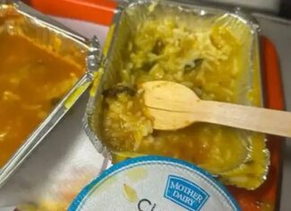 വന്ദേഭാരത് എക്സ്പ്രസില് വിളമ്ബിയ പരിപ്പും ചോറിലുമാണ് ചത്ത പാറ്റ,കരാറുകാരന് പിഴയിട്ട് റെയില്വെ; വിശദാംശങ്ങൾ വായിക്കാം