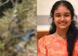 ശ്രീനന്ദയുടെ മരണത്തില് ദുരൂഹത ആരോപിച്ച് കുടുംബം; പ്രദേശത്തെ കടക്കാരനെ ചോദ്യം ചെയ്യണമെന്ന് ആവശ്യം; വിശദാംശങ്ങൾ വായിക്കാം