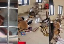തിരുവനന്തപുരം ഇടപ്പഞ്ഞി സുബ്രഹ്മണ്യസ്വാമി ക്ഷേത്രത്തിൽ പൊലീസ് അതിക്രമം; വേദഗ്രന്ഥങ്ങള് വലിച്ചെറിഞ്ഞു എന്നും ദേവീദേവന്മാരുടെ ചിത്രങ്ങളും ബിംബങ്ങളും തല്ലിത്തകര്ത്തു എന്നും ആരോപണം; ക്ഷേത്രസംരക്ഷണസമിതി പ്രവര്ത്തകര്ക്ക് മര്ദ്ദനം: വിശദാംശങ്ങൾ വായിക്കാം