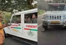 പാമ്പുകടി മരണങ്ങള് തുടര്ക്കഥ; കുതിരാനില് വനംവകുപ്പിനെതിരെ നാട്ടുകാര് ശക്തമായി രംഗത്ത് ; വിശദാംശങ്ങൾ വായിക്കാം