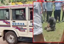 യുവതികളെ ആക്രമിച്ച് റോഡിലൂടെ വലിച്ചിഴച്ചു; പ്രകോപിതരായ നാട്ടുകാർ പ്രതിയെ തല്ലിക്കൊന്നു, ഒഡീഷയിൽ ഞെട്ടിക്കുന്ന സംഭവം ; വിശദാംശങ്ങൾ വായിക്കാം