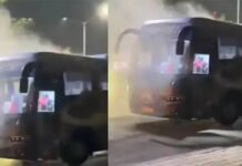 ഐപിഎൽ ഫൈനലിസ്റ്റുകൾ ആയ ഗുജറാത്ത് ടൈറ്റൻസിന്റെ ടീം ബസ്സിന് തീപിടിച്ചു; അപകടം താരങ്ങളെ കയറ്റി മത്സരശേഷം ഹോട്ടലിലേക്ക് മടങ്ങുമ്പോൾ: വിശദാംശങ്ങൾ വായിക്കാം