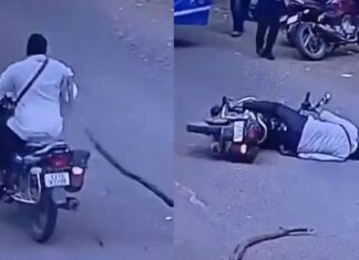 ബൈക്കിൽ പോകുന്നതിനിടെ മരക്കൊമ്പ് തലയിൽ വീണ് അപകടം; മധ്യവയസ്കൻ കോമയിൽ: ഞെട്ടിക്കുന്ന വീഡിയോ ദൃശ്യങ്ങൾ കാണാം