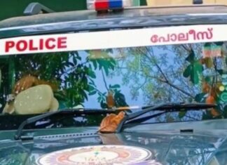 വിവാഹാഘോഷത്തിനിടെ കൂട്ടത്തല്ല്; സിപിഎം ബ്രാഞ്ച് സെക്രട്ടറി ഉള്പ്പെടെ 3 പേര്ക്ക് വെട്ടേറ്റു: വിശദാംശങ്ങൾ വായിക്കാം