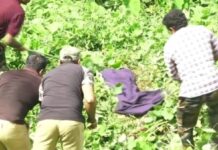 തൃശ്ശൂരിൽ തെരുവ് നായയെ വിഴുങ്ങി കൂറ്റൻ മലമ്പാമ്പ്; പിടികൂടിയത് വനപാലകർ എത്തി: വീഡിയോ ദൃശ്യങ്ങൾ കാണാം