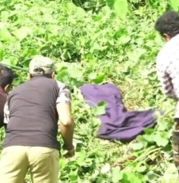 തൃശ്ശൂരിൽ തെരുവ് നായയെ വിഴുങ്ങി കൂറ്റൻ മലമ്പാമ്പ്; പിടികൂടിയത് വനപാലകർ എത്തി: വീഡിയോ ദൃശ്യങ്ങൾ കാണാം