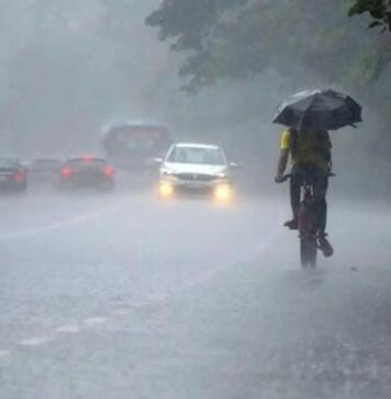 ഇടിമിന്നലും ശക്തമായ കാറ്റും; സംസ്ഥാനത്ത് ജാഗ്രത നിർദേശം , എല്ലാ ജില്ലകളിലും യെല്ലോ അലർട്ട്, വിശദാംശങ്ങൾ വായിക്കാം