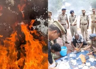കൂട്ടിയിട്ട് കത്തിച്ചത് 52 കിലോ കഞ്ചാവും 3.2 കിലോ എംഡിഎംഎയും അടക്കമുള്ള ലഹരി വസ്തുക്കൾ; ഓപ്പറേഷൻ കോഴിക്കോട് പോലീസ് വക: വിശദാംശങ്ങൾ വായിക്കാം