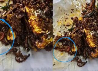 പോലീസ് കാന്റീനിലെ മീൻ വറുത്തതിൽ നിന്ന് കിട്ടിയത് ചത്ത അട്ടയെ; സ്ഥാപനം പൂട്ടിച്ച് കോർപ്പറേഷൻ; സംഭവം തിരുവനന്തപുരത്ത്: വിശദാംശങ്ങൾ വായിക്കാം