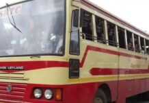 കെഎസ്ആർടിസിയിൽ ശമ്പള പ്രതിസന്ധി; എം പാനൽ ജീവനക്കാർക്ക് ലഭിച്ചത് ശമ്പളത്തിന്റെ പകുതി മാത്രം: വിശദാംശങ്ങൾ വായിക്കാം