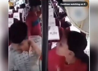 ബസിനുള്ളില് നഗ്നതാപ്രദര്ശനം: പൂവാലൻ്റെ കരണംപുകച്ച് യുവതി; വൈറൽ ദൃശ്യങ്ങൾ കാണാം