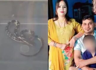 ഉറക്കം ഗുളിക കൊടുത്തു മയക്കിയ ശേഷം ഭർത്താവിനെ വിഷ പാമ്പിനെ കൊണ്ട് കടിപ്പിച്ച് കൊലപ്പെടുത്തിയ കേസ്: പ്രതിയായ ഭാര്യയുടെ ഞെട്ടിക്കുന്ന മൊഴി പുറത്ത്; വിശദാംശങ്ങൾ വായിക്കാം